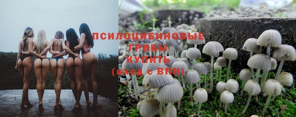 СК Армянск